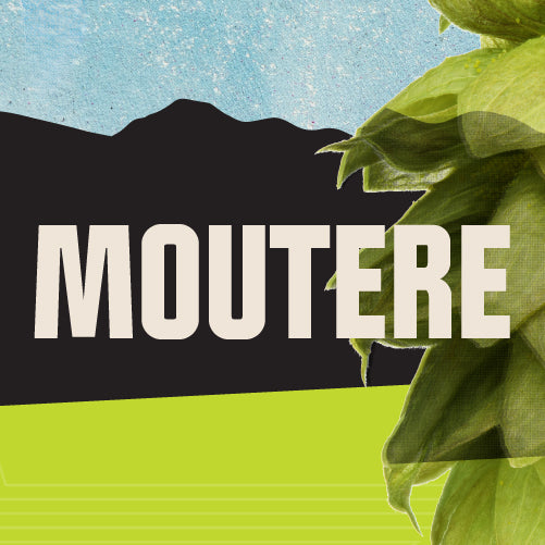 Moutere CY 2023 T90 Hop Pellets