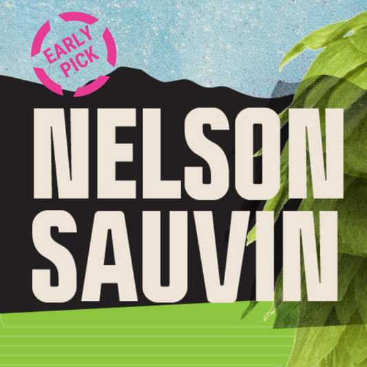 Nelson Sauvin CY 2023 T90 Hop Pellets - Early Pick