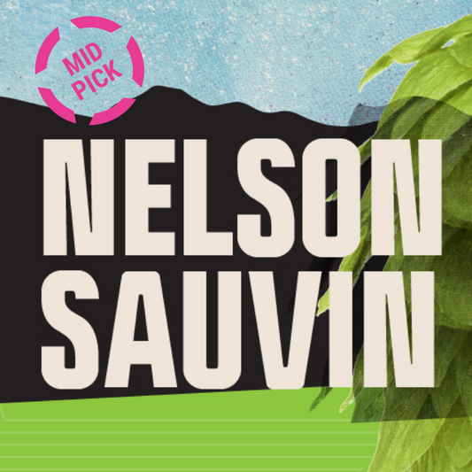 Nelson Sauvin CY 2023 T90 Hop Pellets - Mid Pick