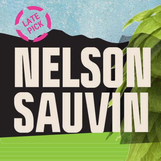 Nelson Sauvin CY 2023 T90 Hop Pellets - Late Pick